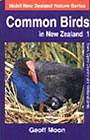 Common Birds in New Zealand 1