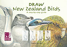 Draw New Zealand Birds