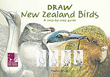 Draw New Zealand Birds